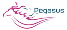 PegasusIcon